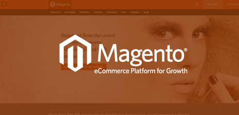 Magento Partner