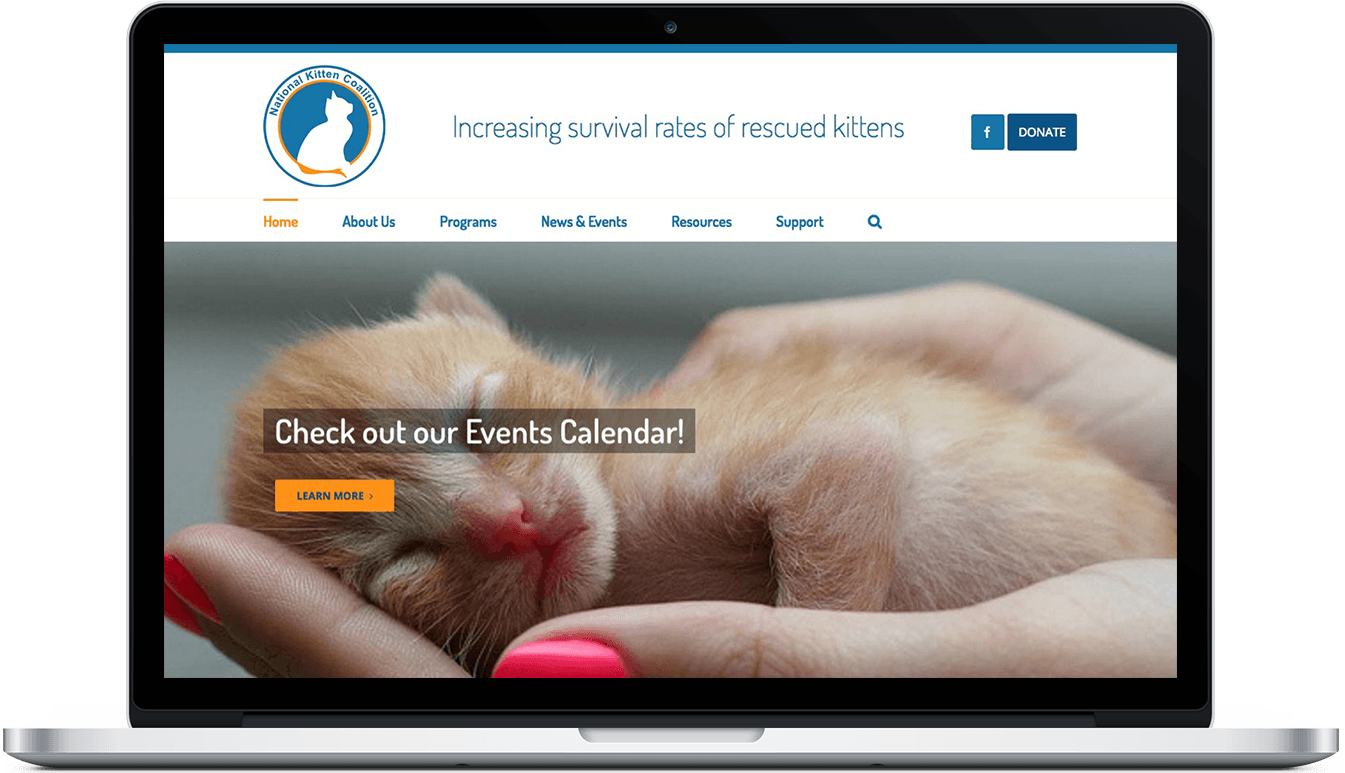 National Kitten Coalition WordPress Development Testimonial