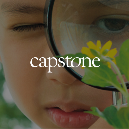 Capstone