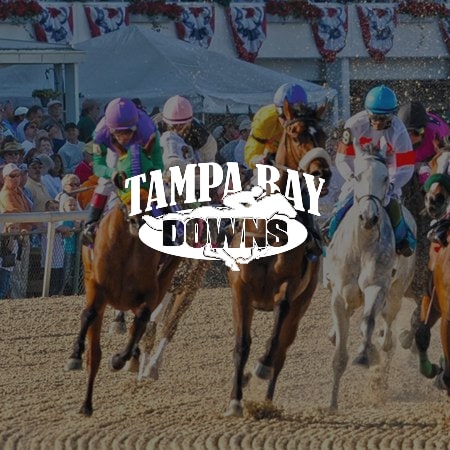 TampaBayDowns