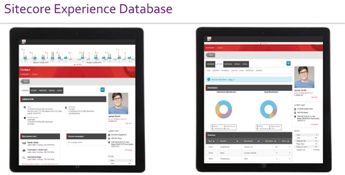 Sitecore Experience Database