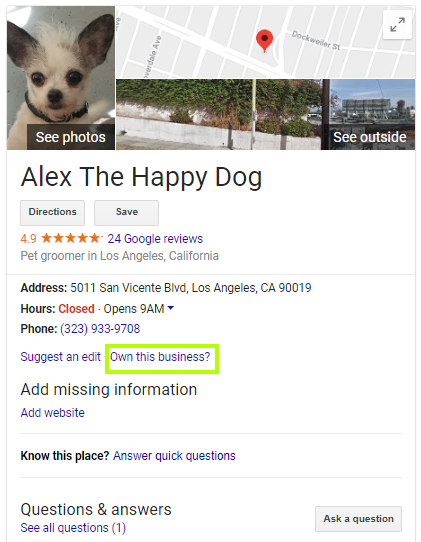 alex the happy dog