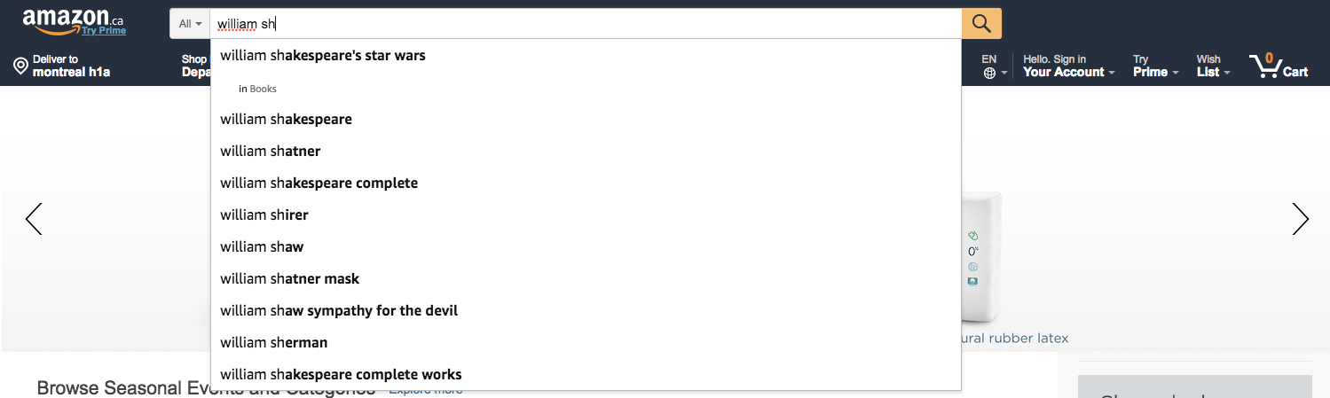 Amazon Amazon Site Search