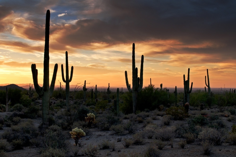 Maricopa County Parks