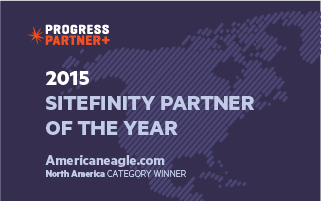 Partner of the Year 2015_NA